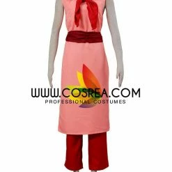 Cosrea Dragonball Chi Chi Cosplay Costume