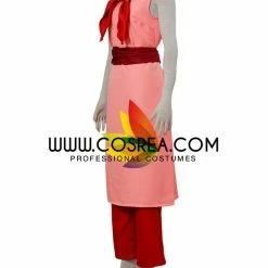 Cosrea Dragonball Chi Chi Cosplay Costume