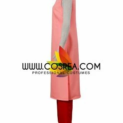 Cosrea Dragonball Chi Chi Cosplay Costume