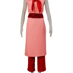 Cosrea Dragonball Chi Chi Cosplay Costume