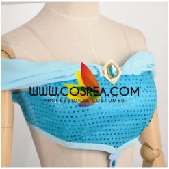 Cosrea Disney Inspired Aladdin Jasmine Classic Cosplay Costume