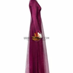 Cosrea Frozen 2 Elsa Into The Unknown Cosplay Costume Disney Inspired