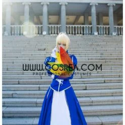 Cosrea Cosplay Costumes Fate Night Saber Classic Blue Cosplay Costume