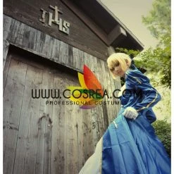 Cosrea Cosplay Costumes Fate Night Saber Classic Blue Cosplay Costume