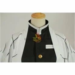 Cosrea Shinobu Kocho Insect Hashira Demon Slayer Cosplay Costume Anime Costumes