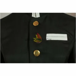 Cosrea Shinobu Kocho Insect Hashira Demon Slayer Cosplay Costume Anime Costumes