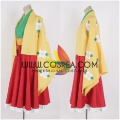 Cosrea Touhou Project Hieda No Akyuu Cosplay Costume Anime Costumes