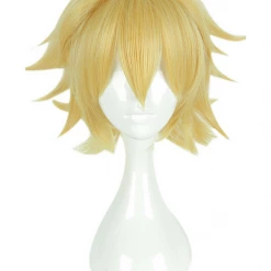 Cosrea Aotu World King Cosplay Wig Cosplay Wigs